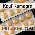 Purchase Kamagra levitra2